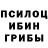 Конопля гибрид KriloX Kriloxov