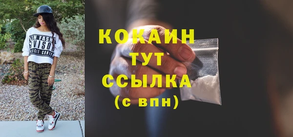 сатива Армянск
