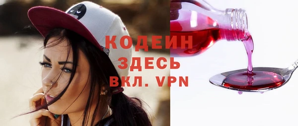 сатива Покачи