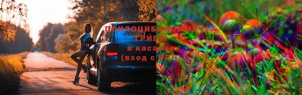 МДМА Арсеньев