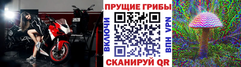 Псилоцибиновые грибы Cubensis  хочу наркоту  Холмск 